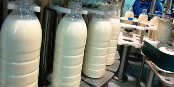 Синтетические пластичные смазки EFELE на молочных производствах